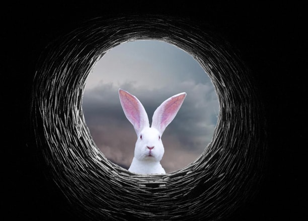 white rabbit hole header