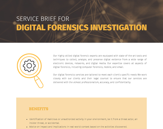 Digital Forensics Investigation